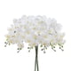 thumbnail image 1 of 3 piezas de tallos de orquídea artificial MENGJIAQI orquídeas de gran flor blanca 37 pulgadas, 1 of 7