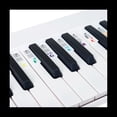 thumbnail image 3 of Piano Note Sticker Button Strip Silicone Color Universal Detachable Keyboard Sticker (PVC Box) 61 Keys,2 * note strip stickers,White, 3 of 10