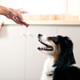 thumbnail image 2 of Milk-Bone Soft & Chewy Beef & Filet Mignon Recipe Dog Snacks (37 oz.), 2 of 10
