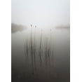 thumbnail image 2 of Ahern, David 24x32 Gold Ornate Wood Framed with Double Matting Museum Art Print Titled - Reeds In The Mist, 2 of 4