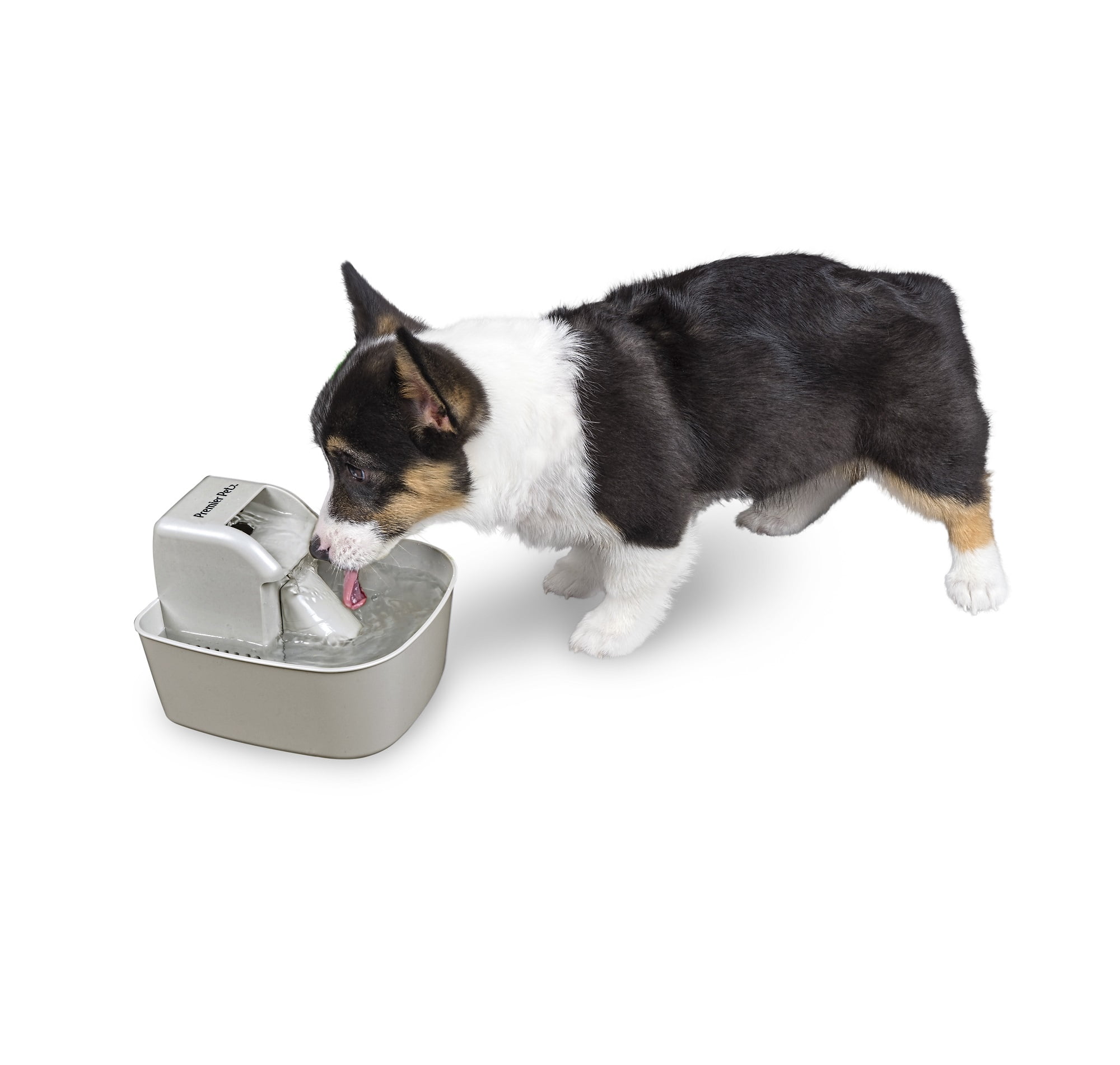 premier pets pet fountain