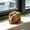 A, variant on YuanGuangQ Vintage Cement Tree Trunk Flower Pot, Rustic Wooden Planter, Tree Root Wood Stake for Green Plant Potted Decor