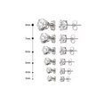 thumbnail image 1 of Pendiente de circonita de seis garras, redondo, de acero inoxidable, serie de orejas de seis garras, pendiente de hueso para oreja, pendiente de uña, joyería para oreja, 1 of 5
