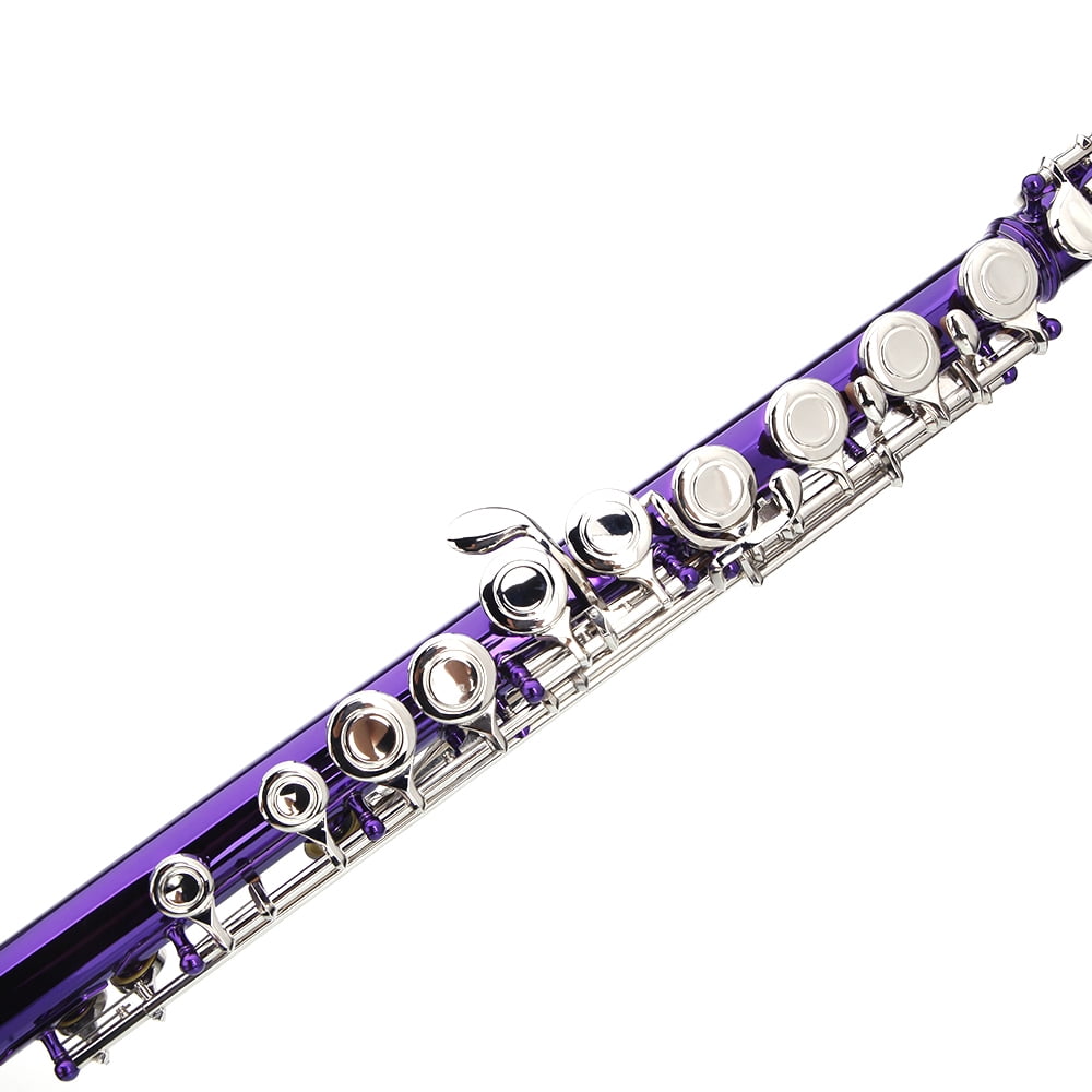 Cupronickel C 16 Closed Holes Concert Band Flute Purple