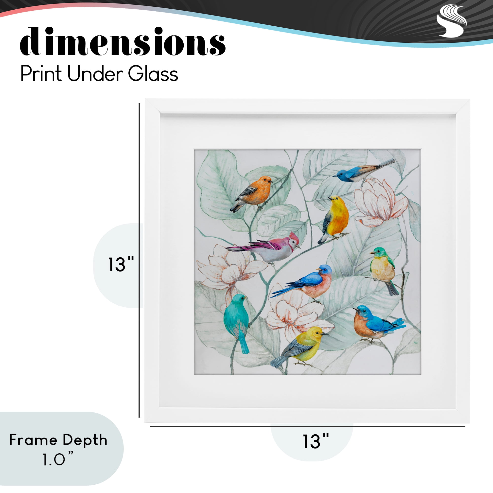 Stupell Industries Colorful Array Of Birds White Framed Print Under Glass, design by Lorenzo Collective