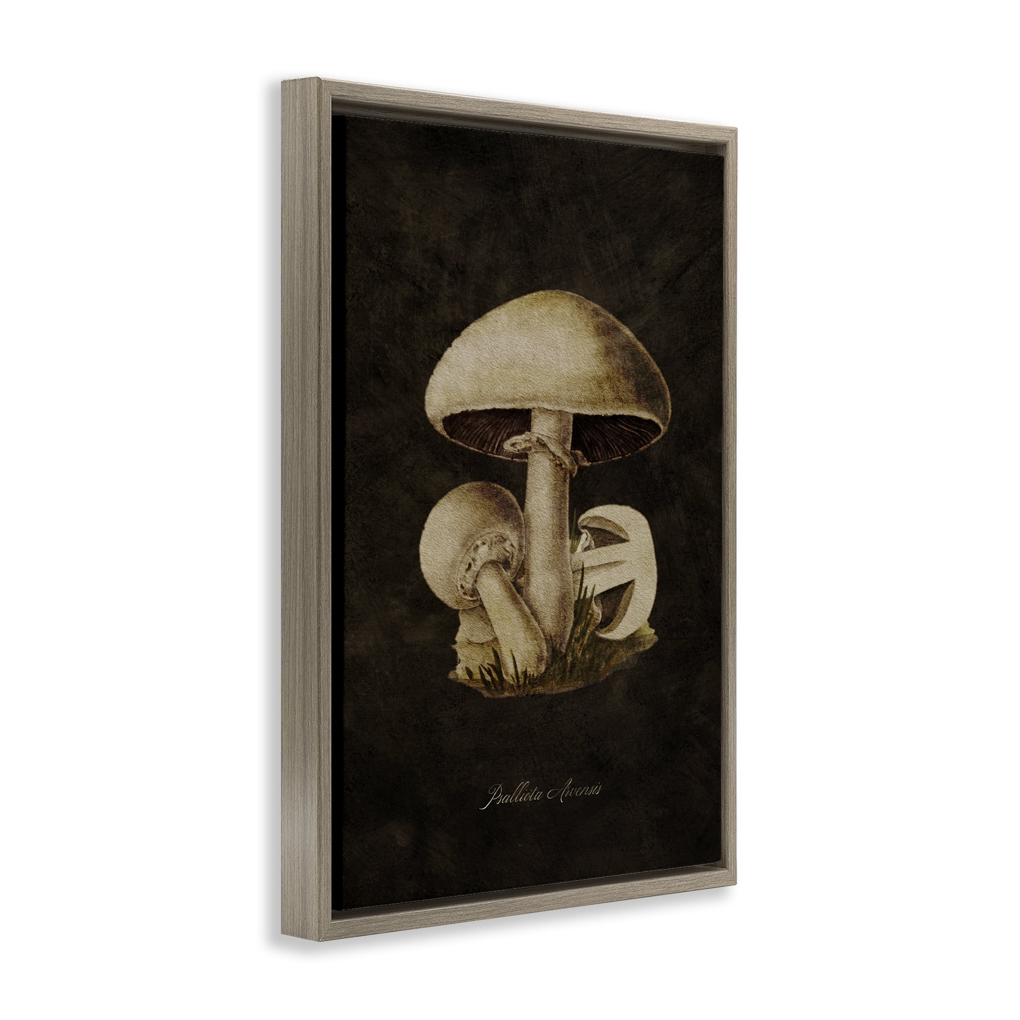 Stupell Industries Portobello Mushroom Study Plants & Flowers Painting Brown Floater Framed Canvas Art Print Wall Art, 21 x 31