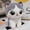 Grey, variant on Cute Gray & White Big Eye Cat Plush Toy, Soft Kawaii Kitty Stuffed Animal, Adorable Gift for Kids/Adults