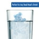 thumbnail image 3 of Molde para cubitos de hielo ICUP con licencia oficial de Grateful Dead, 3 of 7