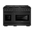 thumbnail image 2 of ZLINE 48 in. 6.7 cu. ft. Paramount Double Oven Gas Range in Black Stainless Steel with 8 Brass Burners (SGRB-BR-48), 2 of 2