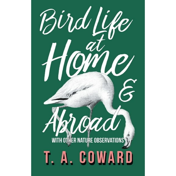 Bird Life at Home and Abroad - With Other Nature Observations, (Paperback)