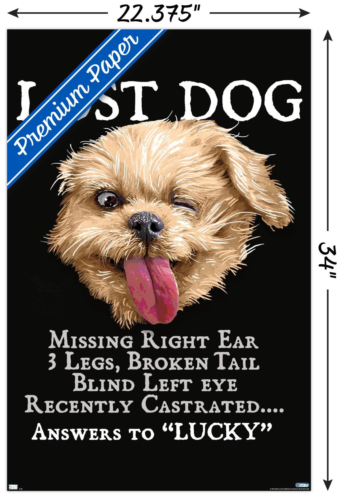 Jim Baldwin - Lost Dog Wall Poster, 22.375" x 34"