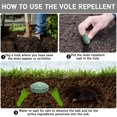 thumbnail image 4 of 12 Pack Groundhog Gopher Vole Chipmunks Repellent Outdoor, Mole Deterrent for Outdoor Garden Yard Lawn, 4 of 8