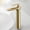 22005-1G, variant on Basin Faucet Hot and Cold Water Brass Black Bathroom Mixer Tap Single Handle Basin Water Sink Mixer Tap 22005-1