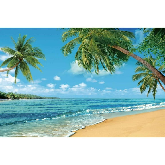 Blue Ocean Beach Backdrop Tropical Summer Photography Background Sunset Seaside Palm Tree Wave Sand Ship ration Wall