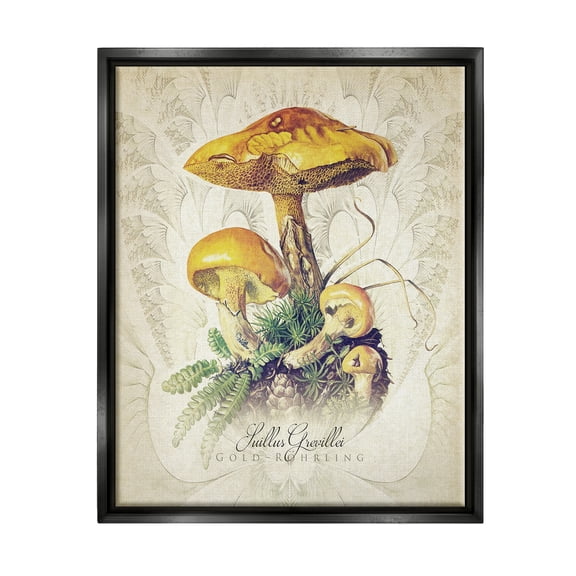 Stupell Industries German Scientific Mushroom Study Botanical & Floral Painting Black Floater Framed Art Print Wall Art