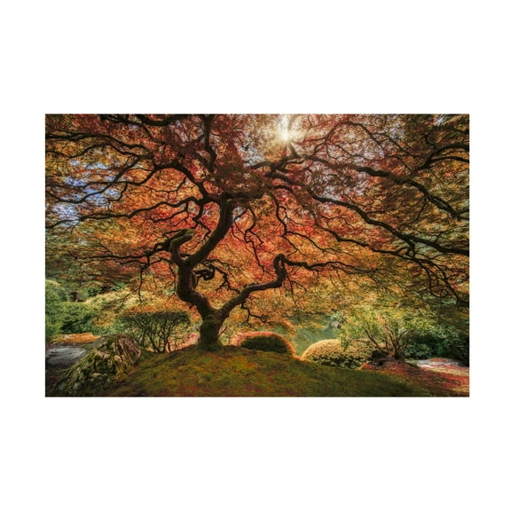 Trademark Fine Art Moises Levy The Tree Horizontal Canvas Wall Art - 16x24