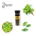 thumbnail image 5 of Pontino Albahaca 20 Gramos 2 Piezas, 5 of 5