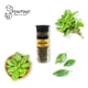 thumbnail image 5 of Pontino Albahaca 20 Gramos 2 Piezas, 5 of 5