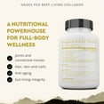 thumbnail image 4 of Ancestral Supplements Grass Fed Beef Living Collagen Nutritional Powder Supplement, 3000mg, Promotes Healthier, Younger Looking Skin, Hair, Nails and Joints, Type II, 180 Capsules, 4 of 7