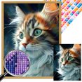 thumbnail image 1 of 5D DIY Taladro Cuadrado AB Parcial Gato Kit 35x45cm, 1 of 9