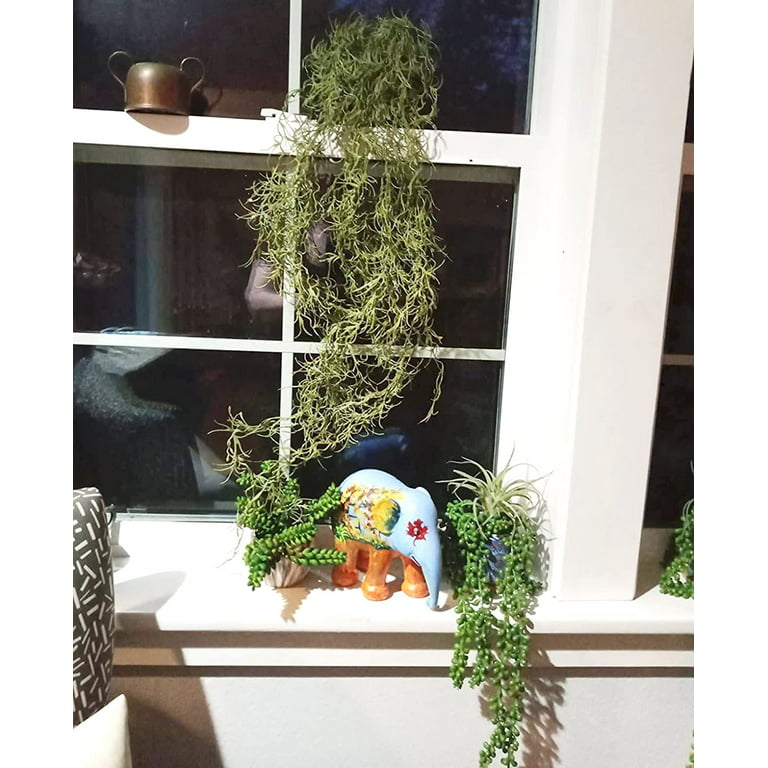 3 Pcs Artificial Greenery Moss Hanging Plants, Fake Spanish Moss Hanging  Plants Plastic Greenery Faux Hanging Vines for Wall Home Room Balcony Porch  Décor 