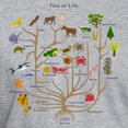 thumbnail image 3 of CafePress - Tree Of Life Fitted T Shirt - Fitted T-Shirt, Vintage Fit Soft Cotton Tee, 3 of 4