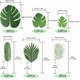 thumbnail image 2 of Hojas Artificiales De Palma Tropicales Decor 10 Tipos, 80 Pzs VERDE, 2 of 5