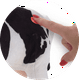 thumbnail image 5 of Vaca Lola Peluche Musical 20 Cm La Granja De Zenon Vaca, 5 of 7