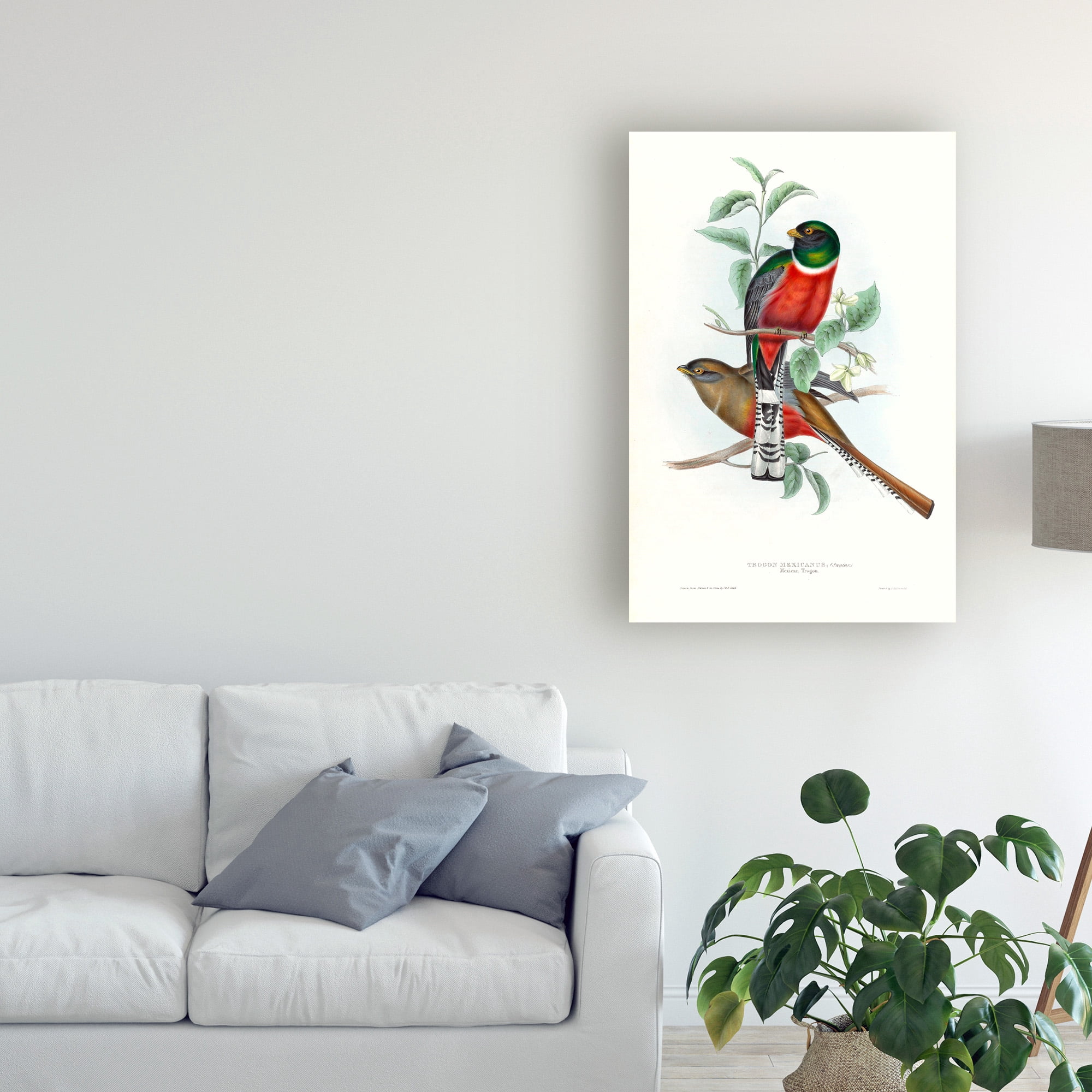 Trademark Fine Art 'Tropical Trogons V' Canvas Art by John Gould