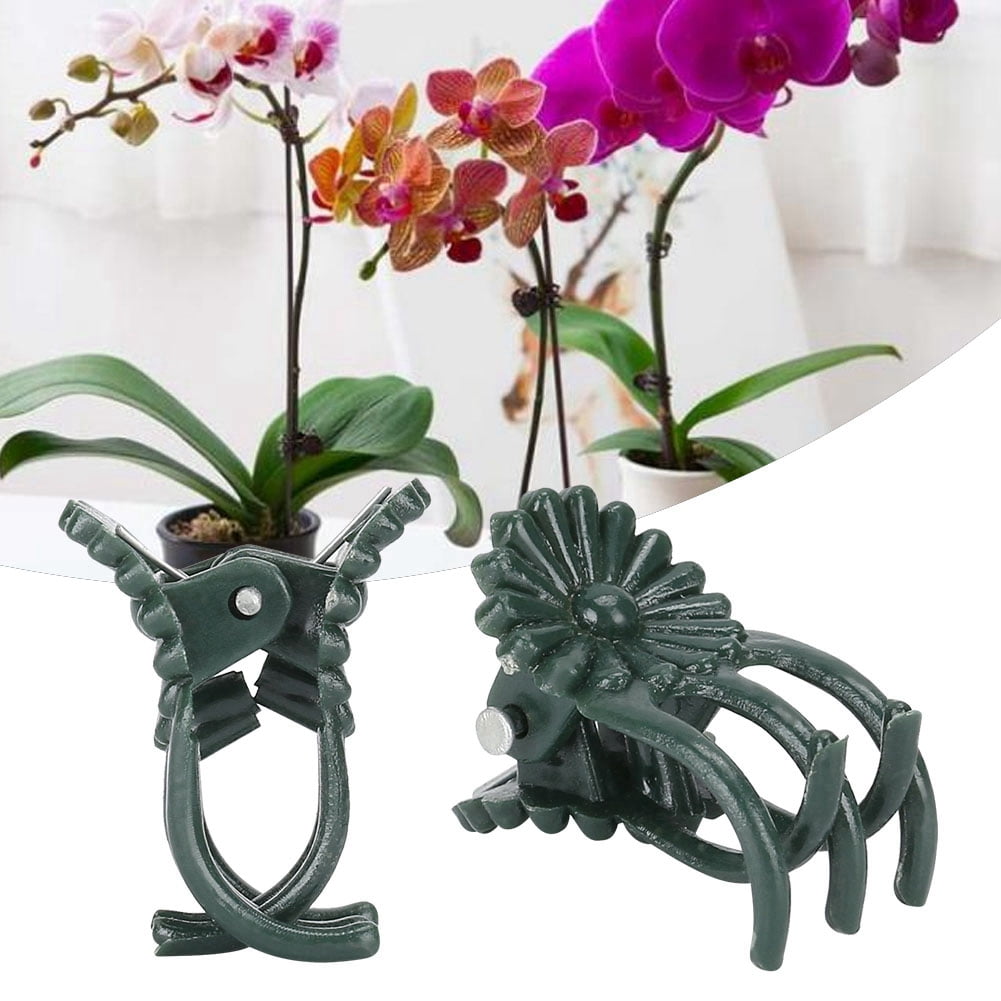 Lot De 10 Clips Coccinelle Pour Orchidées Et Plantes Grimpantes - Support De Tige, Plastique, Couleurs Assorties