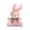 Pink, variant on YYKihy Bunny Keychain Key Chain Plush Bunny Keychain Plush Pendant Decorative Bunny Pendants Plush Toy Backpack Keychain Pendant Bag Accessories