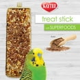 thumbnail image 3 of Kaytee Avian Superfood Treat Stick Flax 5.5 ounces, 3 of 6