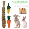 thumbnail image 3 of 9pcs/set Pet Chew Sticks Tooth Cleaning Toy Rabbit Molar Toy Set Cage Bite Stick Accessories, 3 of 7