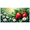 3A, variant on Strawberry Daisy Themed Banner Background Decor Party Supplies for Garden Parties Summer Gatherings Picnics and Photography Props