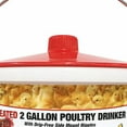 thumbnail image 6 of Farm Innovators HB-60P Thermostatically Controlled Heated 2-Gallon Plastic Outdoor Year-Round Poultry Chicken Water Bucket Drinker, White/Red 2 Pack, 6 of 6