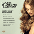 thumbnail image 3 of MKS eco Nourish Shampoo, High Tide - 10 fl oz, 3 of 8