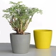 thumbnail image 5 of Maceta de estilo nórdico, contenedor de plantas, herramienta de plantación, decoración del jardín del hogar Jikaix, 5 of 5