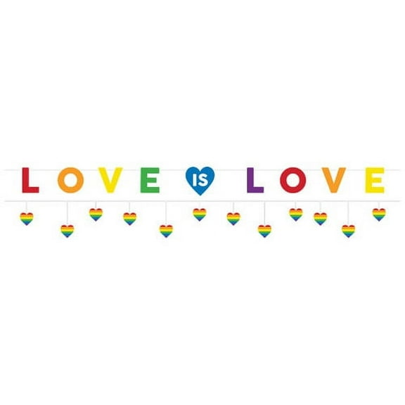 Wedding and Bridal 'Love is Love' Deluxe Foil Banner Kit (1ct)