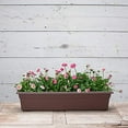 thumbnail image 3 of Novelty Mfg Co P-Countryside Flowerbox Planter- Brown 30x8x6.5 Inch, 3 of 5