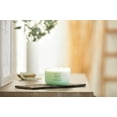 thumbnail image 2 of Chesapeake Bay Candle, Coffee Table 3-Wick Jar Candles | Balance (Waterlily Melon), 2 of 4