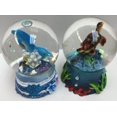 thumbnail image 2 of I Hawaii Snowglobe Set of 2 pcs: Turtle & Dolphin Hawaiian Design - Multicolor Glass Snow Globes, Tropical, 2 of 3