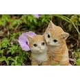 thumbnail image 2 of KITTENS HUGGING - ORANGE, 2 of 4