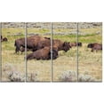 thumbnail image 2 of Bande de Buffles de Grazing - Impression sur Toile d'Animaux, 2 of 3