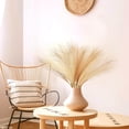 thumbnail image 5 of 30 Pcs Pampas Grass Decor 21.7" Fluffy Faux Short Brown Pampas Grass Artificial Small Pompas Grass Flower Vase Filler for Home Wedding Living Room Wall Party Decoration, 5 of 11