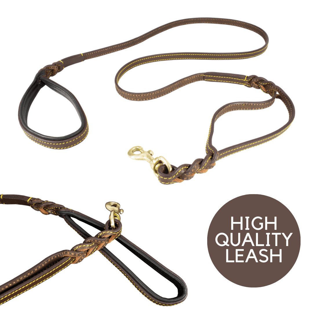 Leather Dog Leash, Genuine Cowhide Braided Pet Leash for Large Dogs, 6ft Easy Control Dog