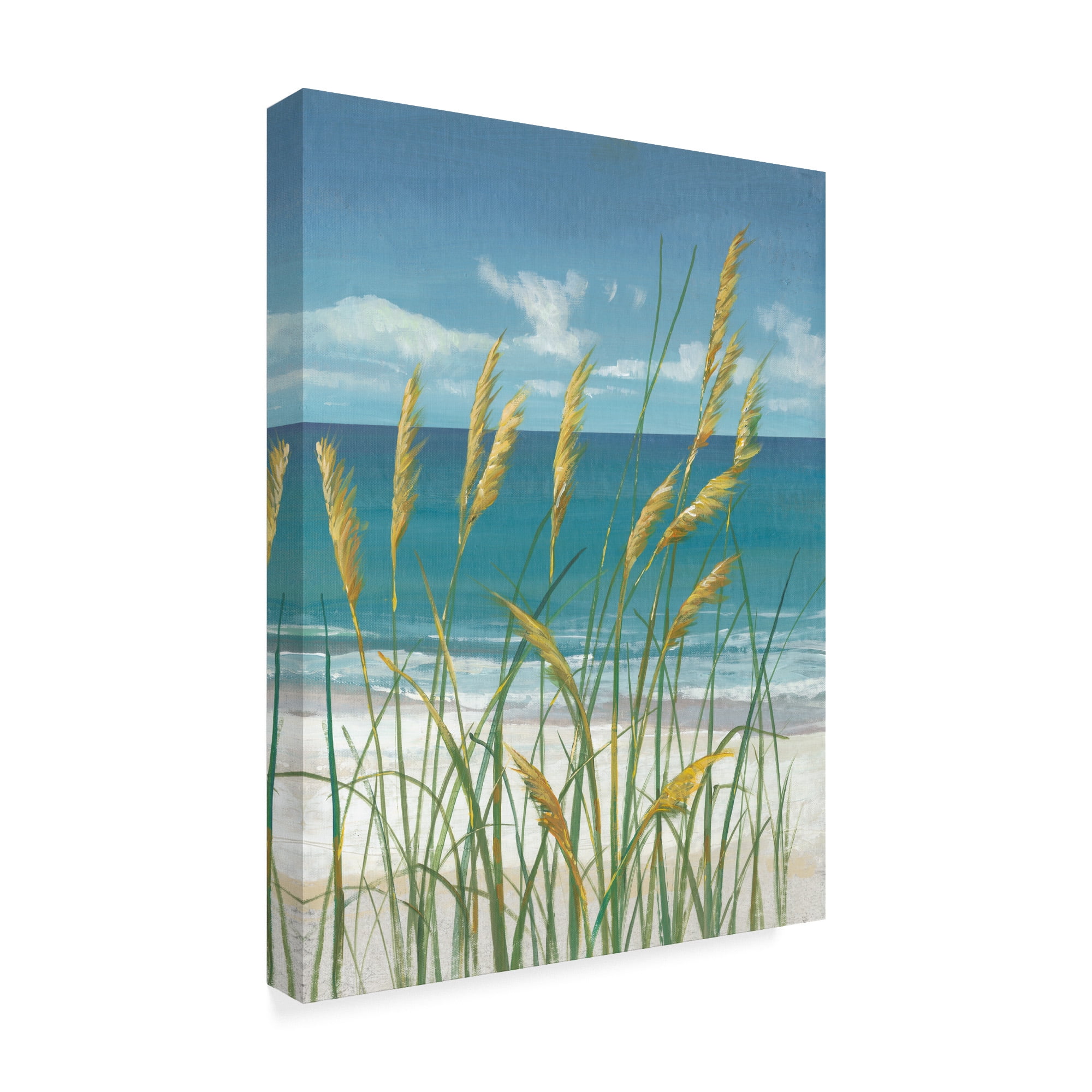 Trademark Fine Art 'UA CH Summer Breeze II' Canvas Art by Tim OToole
