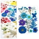 thumbnail image 3 of flores prensadas secas Flores prensadas secas para DIY Resina Relleno Joyería Decoración, 3 of 7