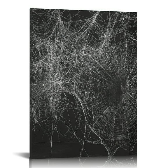 FUMJ Spider Web Canvas Wall Art Decor Ready to Hang - Living Room Bedroom Home Office Wall Decor - 16x20 in / 12x16 in