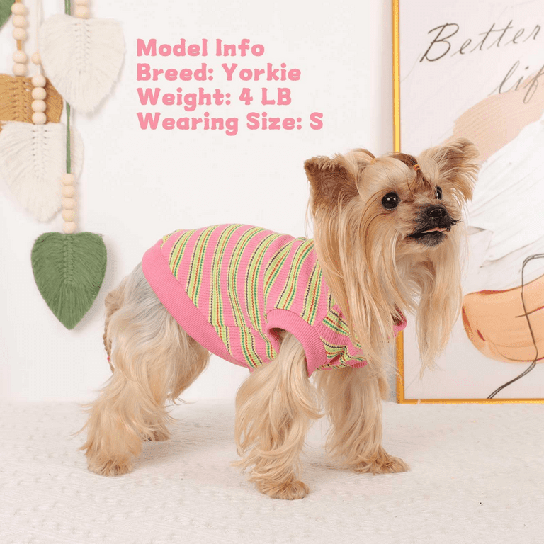 Dog Shirt, Pet Clothes for Chihuahua, Yorkie Teacup Costumes
