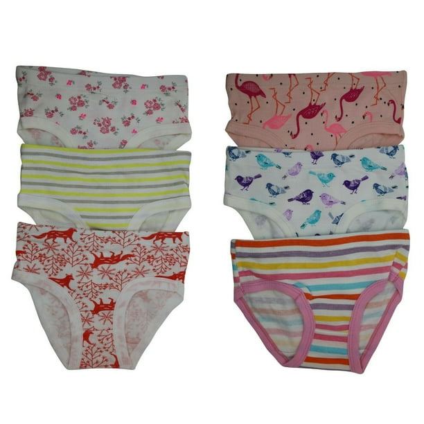 6 Packs Toddler Little Girls Kids Underwear Cotton Briefs Size 2T 3T 4T